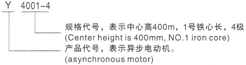 西安泰富西玛Y系列(H355-1000)高压YJTG-100L-6A/1.5KW三相异步电机型号说明